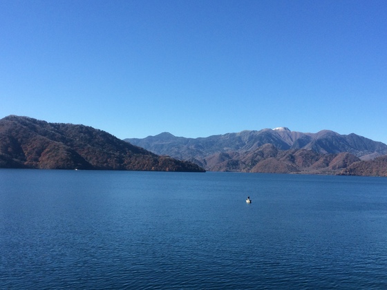f:id:fuwari-x:20190621145707j:plain