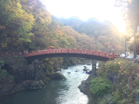 f:id:fuwari-x:20190621145915j:plain f:id:fuwari-x:20190621145915j:plain