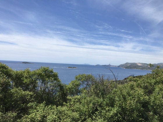 f:id:fuwari-x:20190621164530j:plain