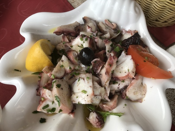 f:id:fuwari-x:20190621164845j:plain