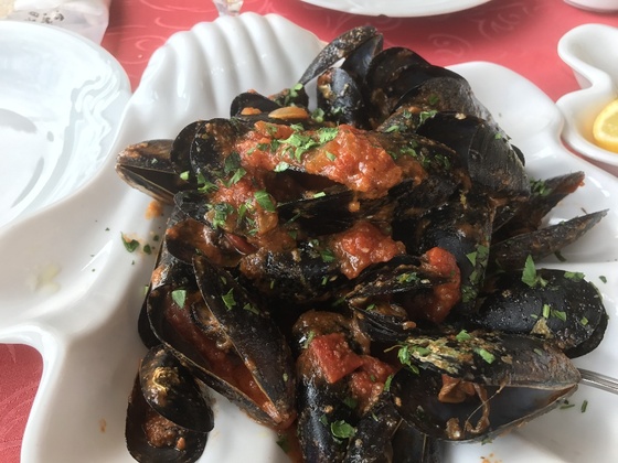 f:id:fuwari-x:20190621164849j:plain