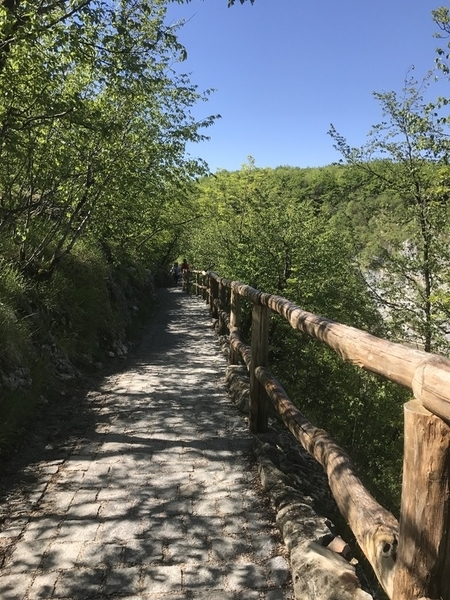 f:id:fuwari-x:20190621171203j:plain