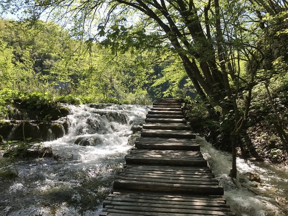 f:id:fuwari-x:20190621171249j:plain