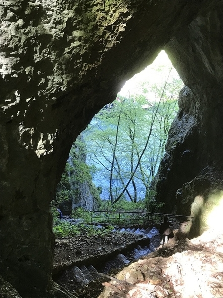 f:id:fuwari-x:20190621171321j:plain