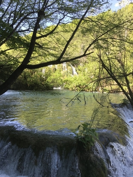 f:id:fuwari-x:20190621171331j:plain