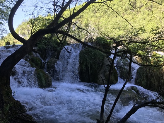 f:id:fuwari-x:20190621171337j:plain