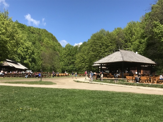 f:id:fuwari-x:20190621171408j:plain