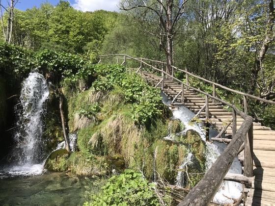 f:id:fuwari-x:20190621171434j:plain f:id:fuwari-x:20190621171434j:plain