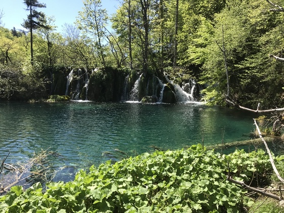 f:id:fuwari-x:20190621171445j:plain f:id:fuwari-x:20190621171445j:plain