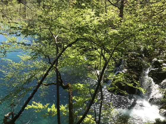 f:id:fuwari-x:20190621171455j:plain f:id:fuwari-x:20190621171455j:plain