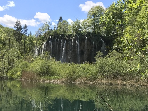 f:id:fuwari-x:20190621171500j:plain f:id:fuwari-x:20190621171500j:plain