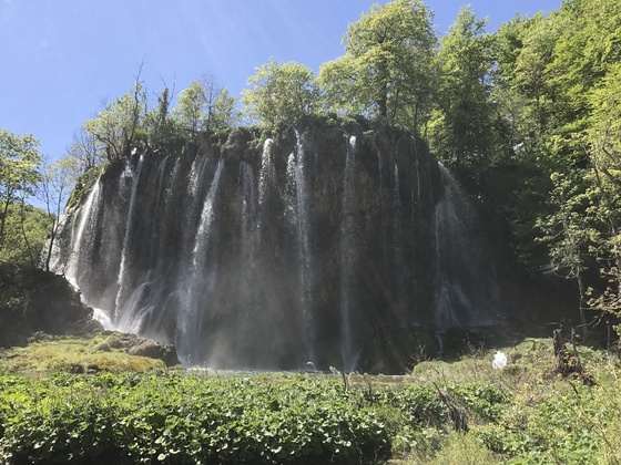 f:id:fuwari-x:20190621171505j:plain f:id:fuwari-x:20190621171505j:plain
