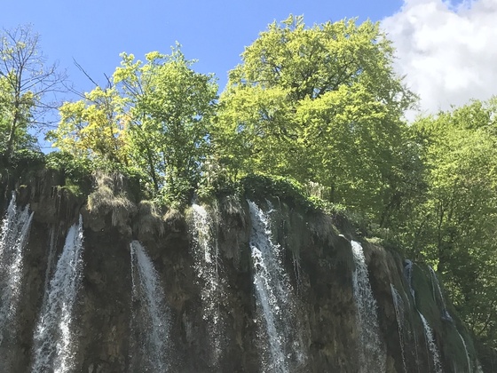 f:id:fuwari-x:20190621171510j:plain f:id:fuwari-x:20190621171510j:plain
