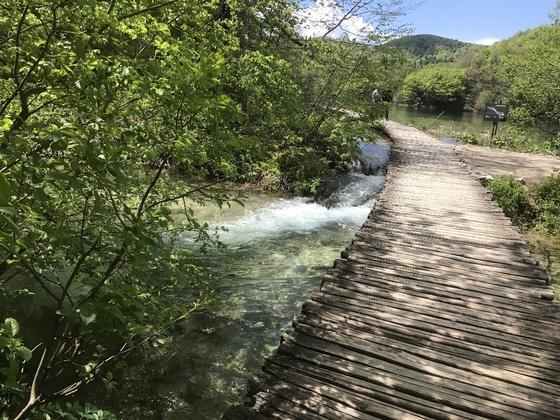 f:id:fuwari-x:20190621171527j:plain f:id:fuwari-x:20190621171527j:plain