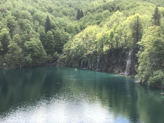 f:id:fuwari-x:20190621171540j:plain f:id:fuwari-x:20190621171540j:plain