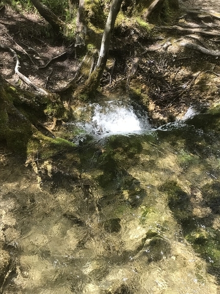 f:id:fuwari-x:20190621171551j:plain f:id:fuwari-x:20190621171551j:plain