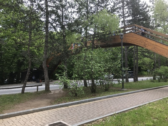 f:id:fuwari-x:20190621171655j:plain f:id:fuwari-x:20190621171655j:plain