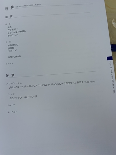 f:id:fuwari-x:20190625101533j:plain f:id:fuwari-x:20190625101533j:plain