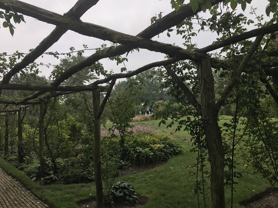 f:id:fuwari-x:20190625151113j:plain