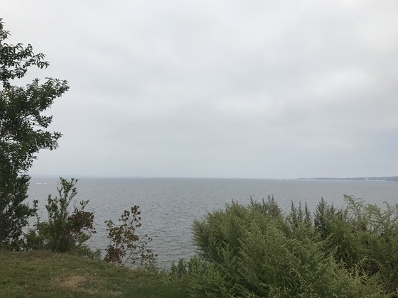 f:id:fuwari-x:20190625151154j:plain