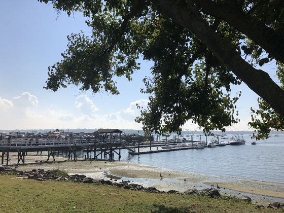 f:id:fuwari-x:20190625151309j:plain