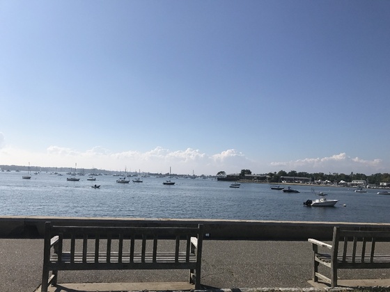 f:id:fuwari-x:20190625151314j:plain