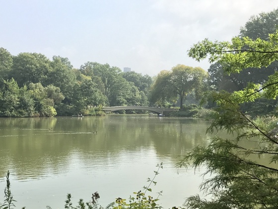 f:id:fuwari-x:20190625151507j:plain