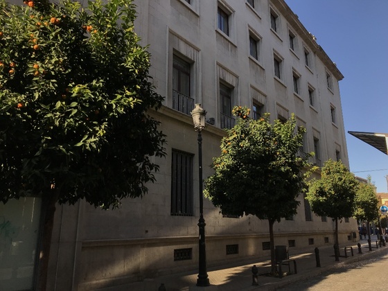 f:id:fuwari-x:20190625154418j:plain