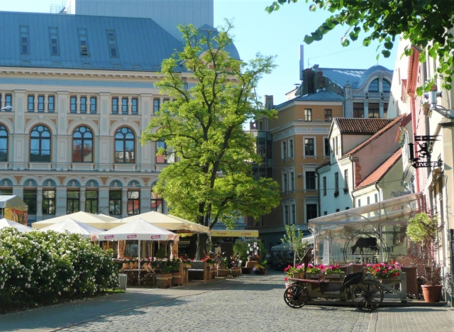 f:id:fuwari-x:20190629153609j:plain