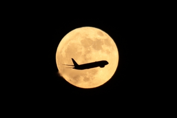 f:id:fuwari-x:20190709095943j:plain