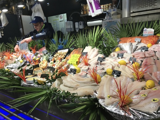 f:id:fuwari-x:20190711164209j:plain