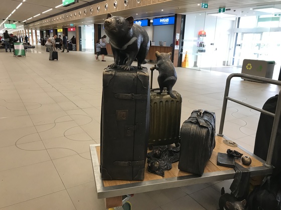 f:id:fuwari-x:20190717145740j:plain