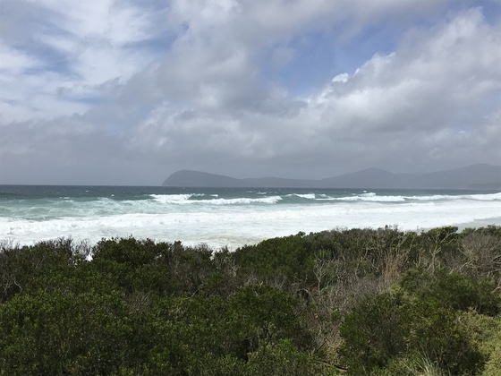 f:id:fuwari-x:20190717150122j:plain