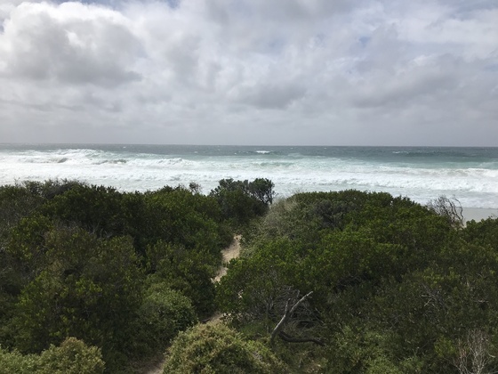 f:id:fuwari-x:20190717150129j:plain