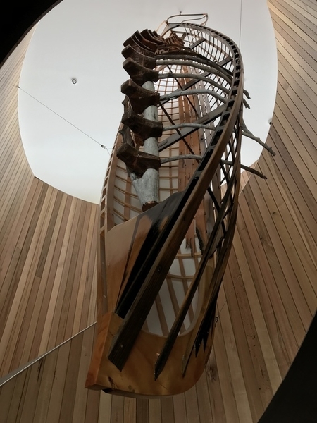 f:id:fuwari-x:20190717150147j:plain