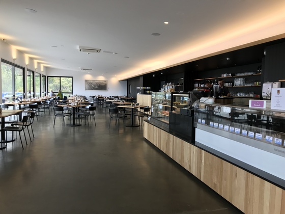 f:id:fuwari-x:20190717150159j:plain