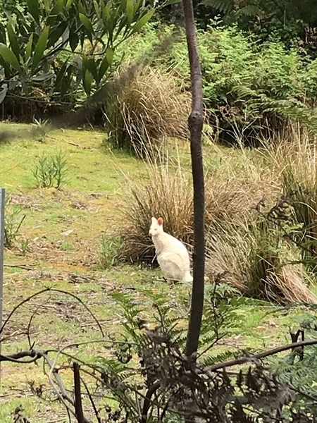 f:id:fuwari-x:20190717150209j:plain