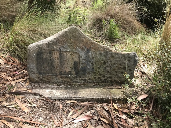 f:id:fuwari-x:20190717150223j:plain