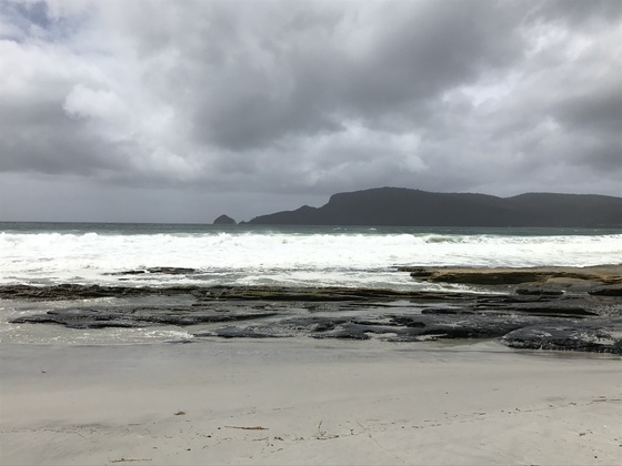 f:id:fuwari-x:20190717150229j:plain