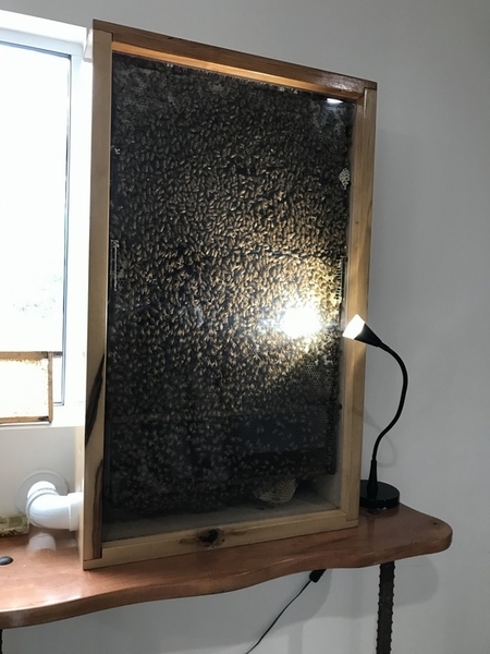 f:id:fuwari-x:20190717150345j:plain f:id:fuwari-x:20190717150345j:plain