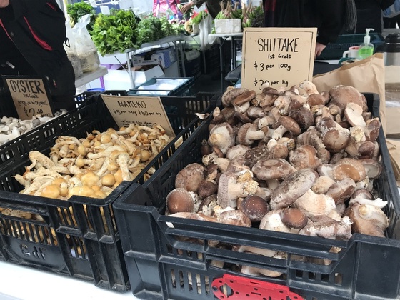 f:id:fuwari-x:20190717150824j:plain f:id:fuwari-x:20190717150824j:plain