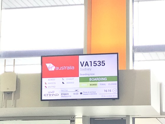 f:id:fuwari-x:20190717151003j:plain f:id:fuwari-x:20190717151003j:plain