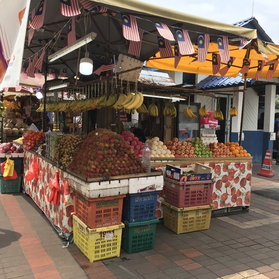 f:id:fuwari-x:20190718110722j:plain