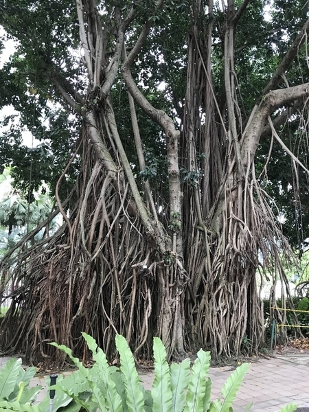 f:id:fuwari-x:20190718111017j:plain f:id:fuwari-x:20190718111017j:plain