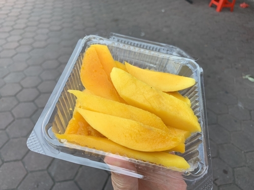 f:id:fuwari-x:20190718112259j:plain f:id:fuwari-x:20190718112259j:plain