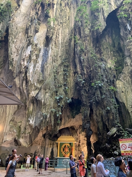 f:id:fuwari-x:20190718113233j:plain f:id:fuwari-x:20190718113233j:plain