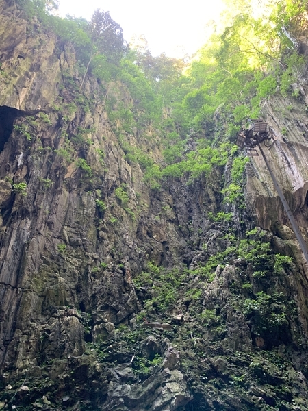 f:id:fuwari-x:20190718113244j:plain f:id:fuwari-x:20190718113244j:plain