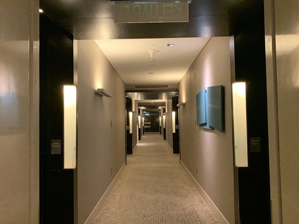f:id:fuwari-x:20190719095922j:plain f:id:fuwari-x:20190719095922j:plain
