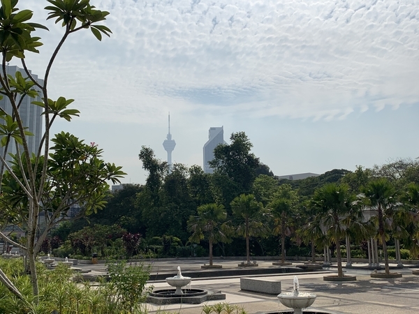 f:id:fuwari-x:20190719154628j:plain