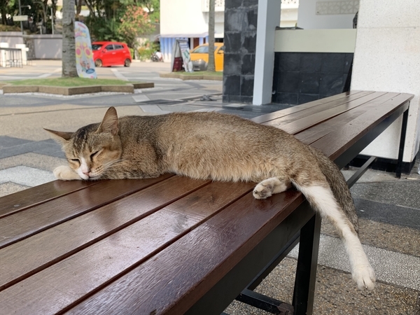 f:id:fuwari-x:20190719155613j:plain f:id:fuwari-x:20190719155613j:plain